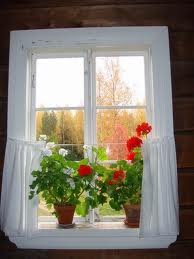 customizing your replacement windows