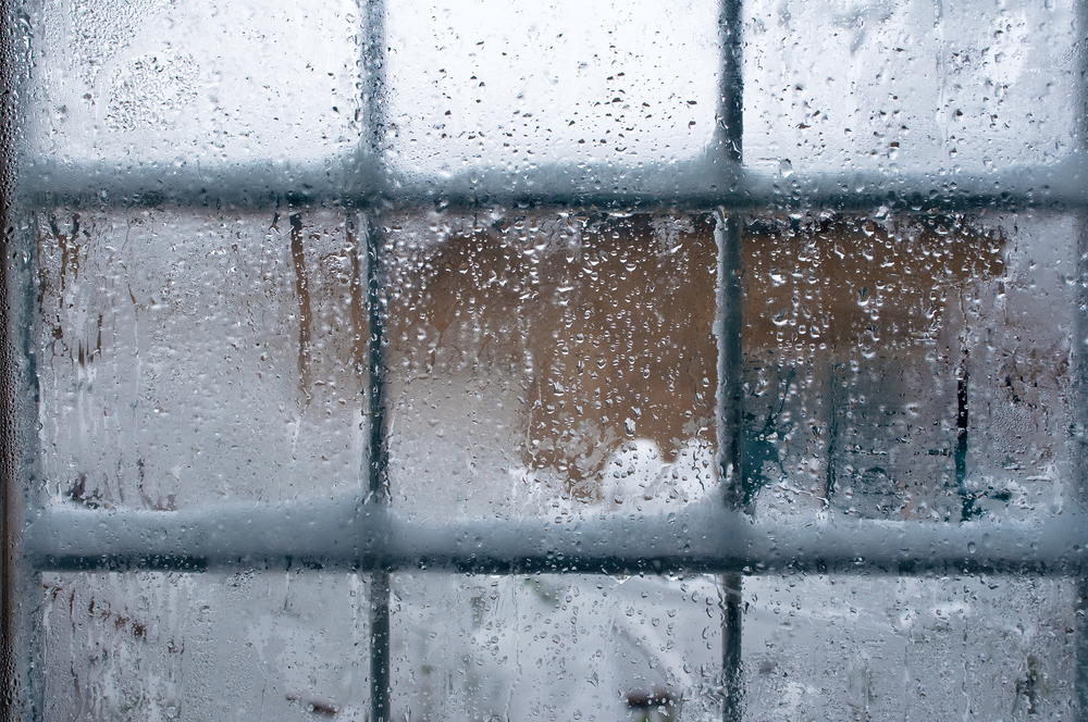 Icy window